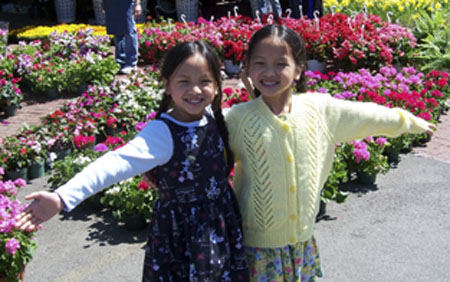 D&N at market reduced